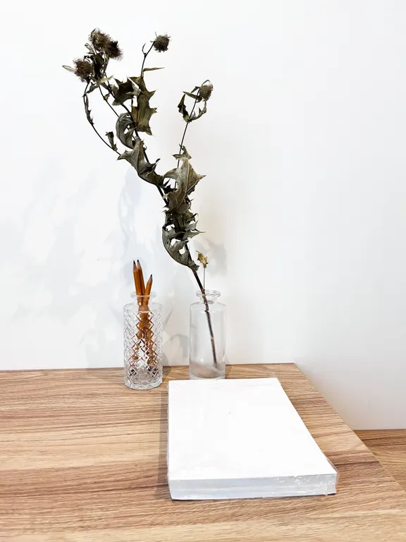 Шикарная квартира в центре