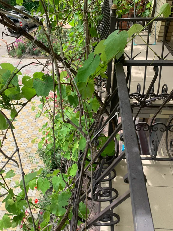 Квартира Квартира Двухкомнатный номер для уютного проживания в центре Анапы — Анапа