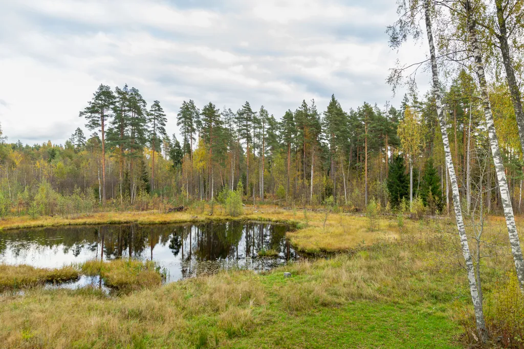 Коттедж с прямым видом на озеро