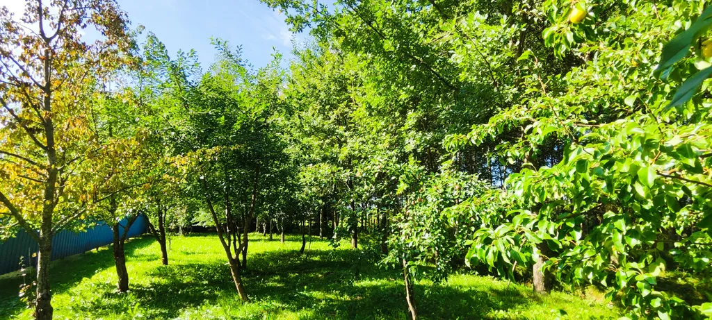 Уединенная дача с прудом и баней у Псковского озера