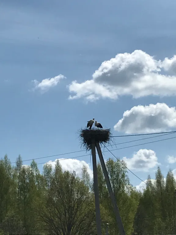 Пушкинские Горы