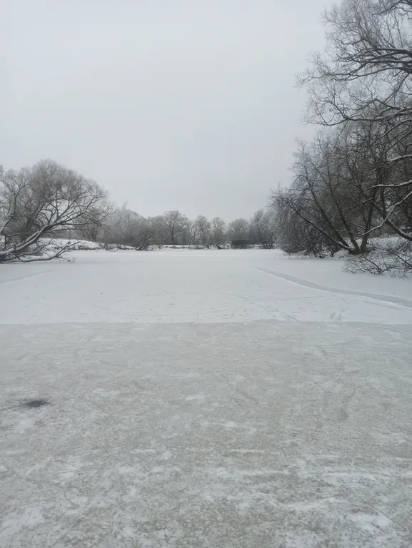 Коттедж Loft коттедж с шикаpным видом на пруд — Шишкино