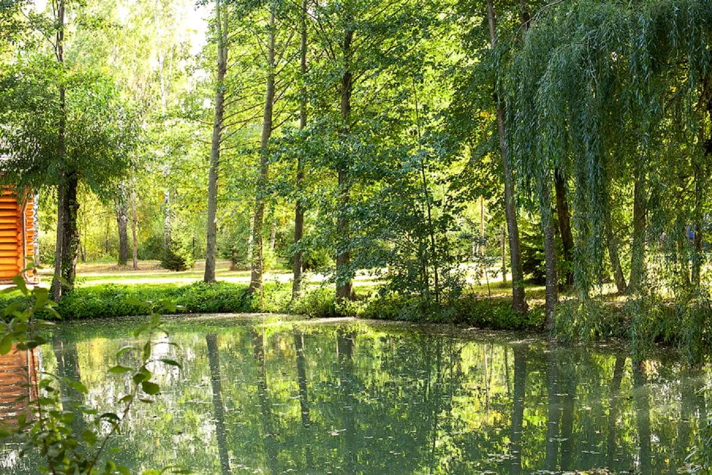 Деревянный дом у озера с сауной и бильярдом