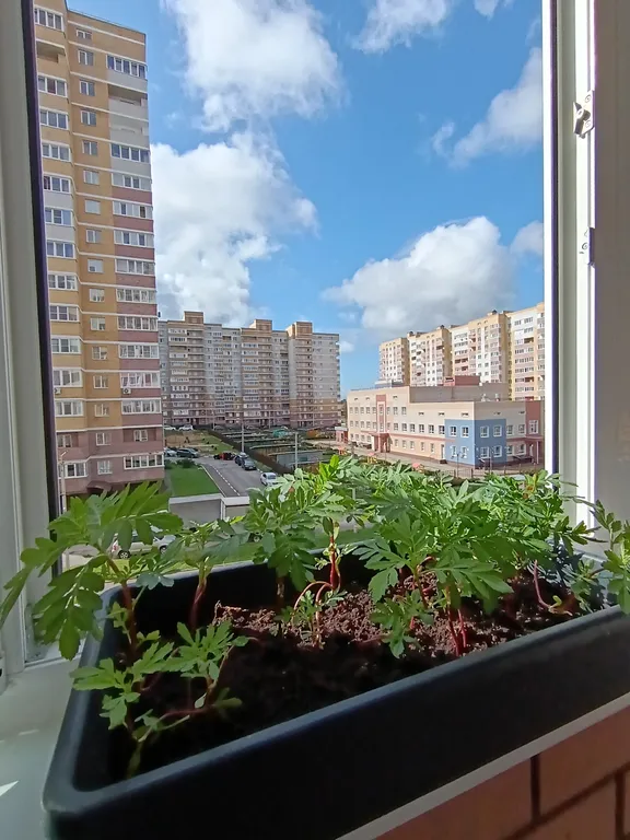 Уютная, светлая, солнечно - тёплая квартира, в самом сердце Юрьевца — аренда посуточно в Владимир