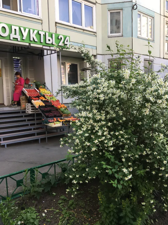 Евротрешка возле Крокус Экспо у моста к метро Мякинино