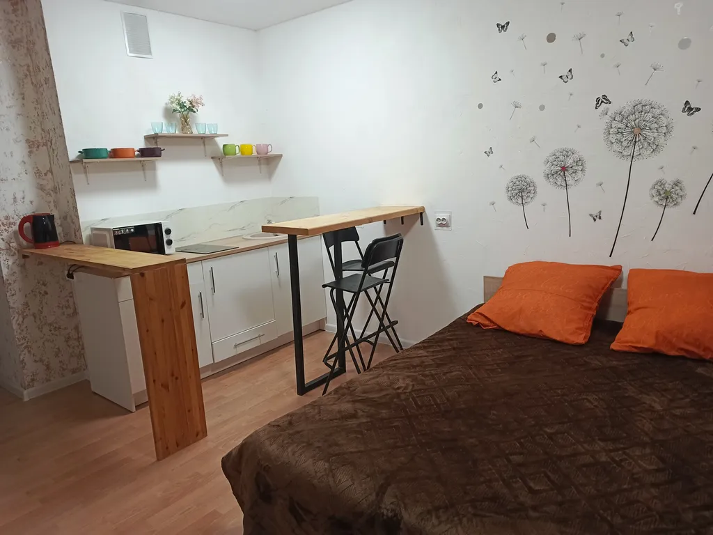 Студия близ аэропорта толмачево