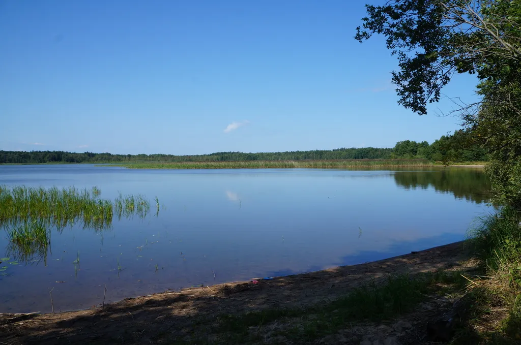 Коттедж Просторный коттедж на Судаковском озере — Ларионово