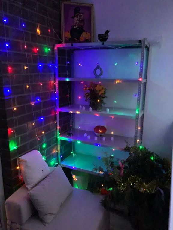 Полноценная двухкомнатная квартира с видом на платоновский парк