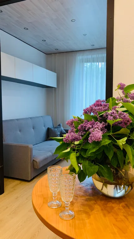 Квартира Квартира Евро двушка у МЦД 3 — Подолино