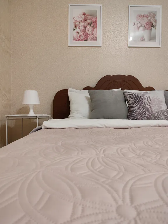 Квартира Апартаменты Центральные — аренда посуточно в Кострома