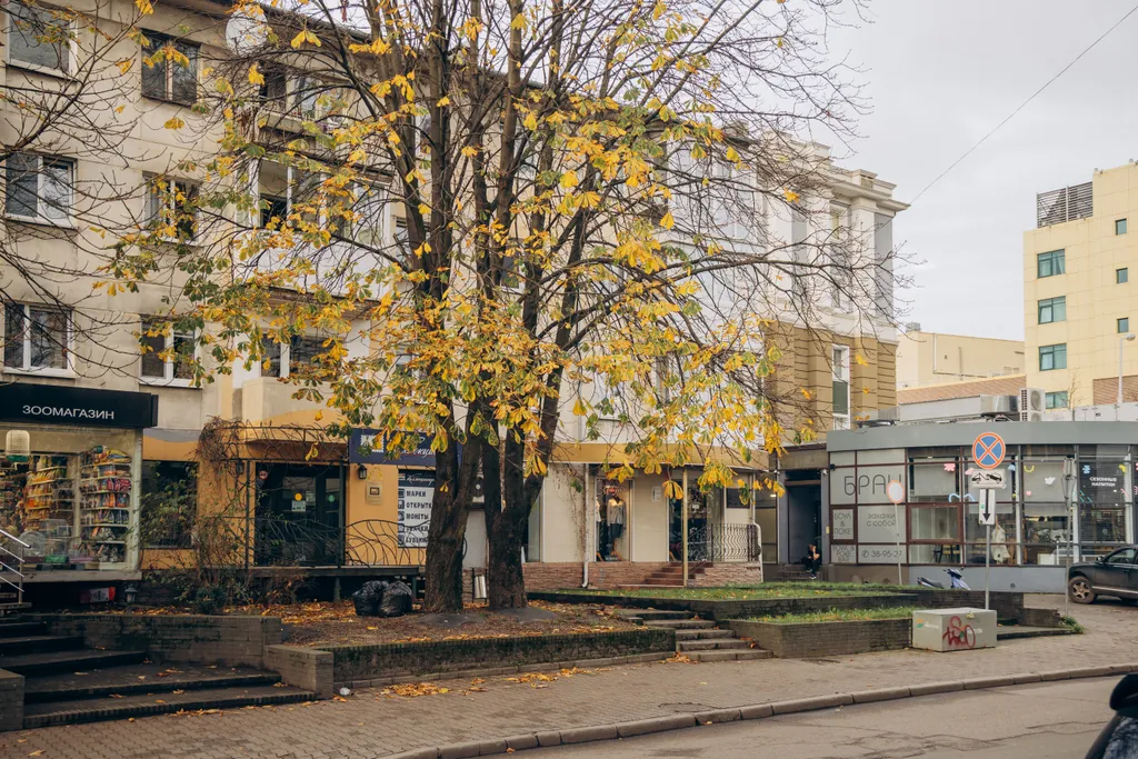 Квартира Квартира в сердце города — Калининград