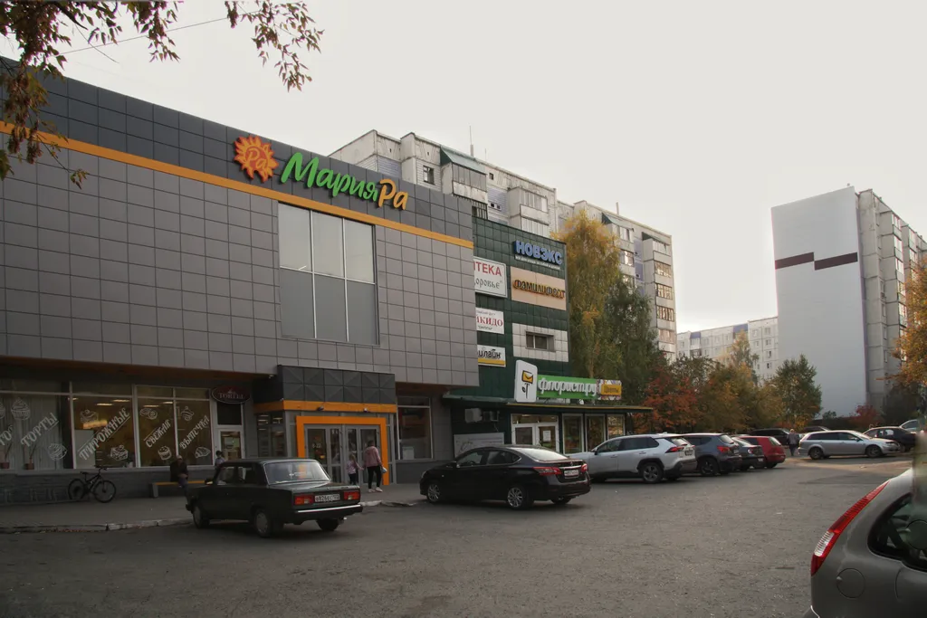 Рыжий Кот возле Парка