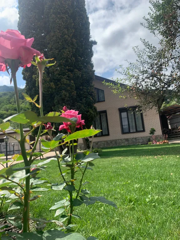 Домик в горах