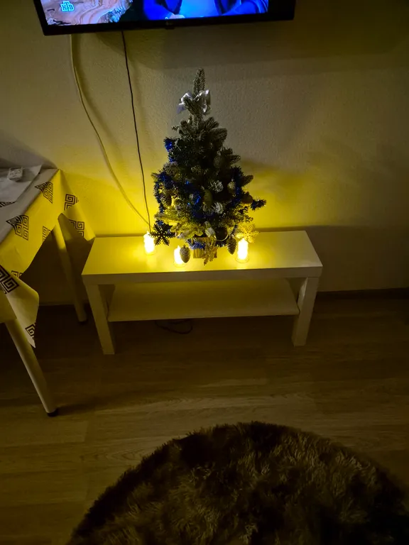Студия в ЖК Мещерский лес