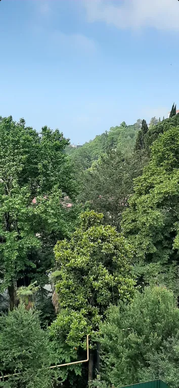 Уютная студия с автопарковкой