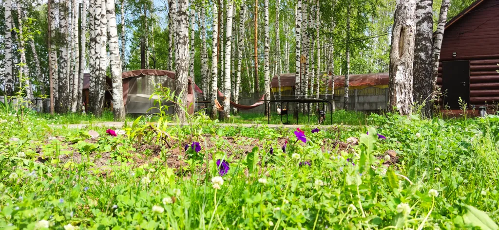 Дом с баней у Голубого озера