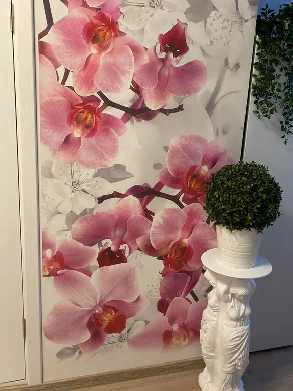 Гостевая квартира