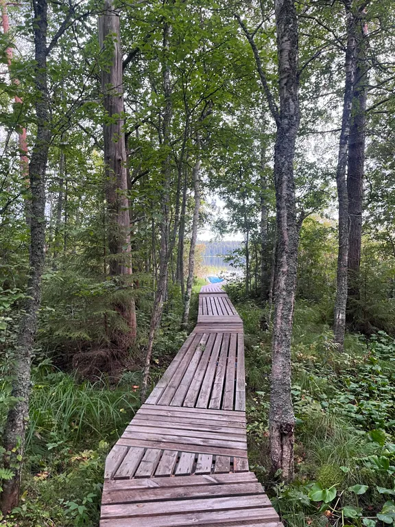 Домик с баней в живописном месте Карелии