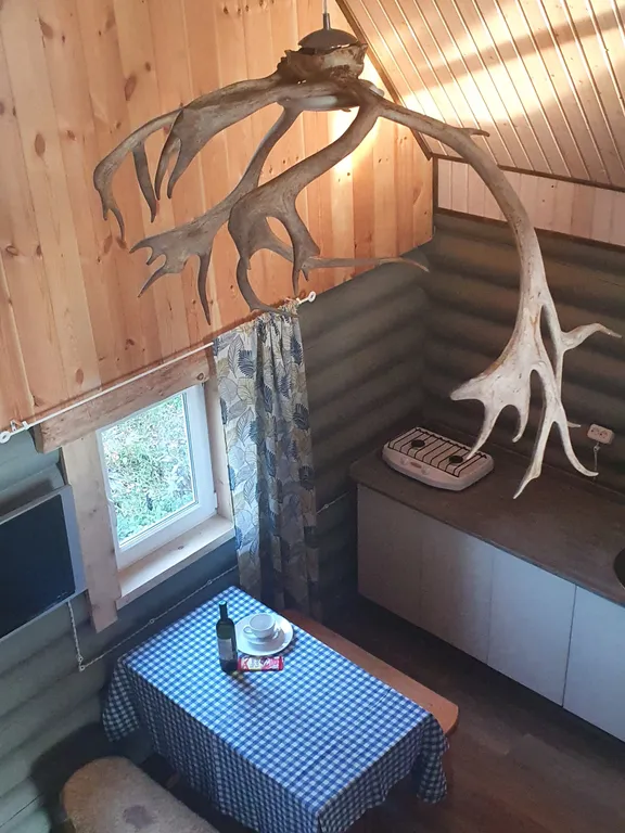 Коттедж Коттедж Лесное шале — Мезмай