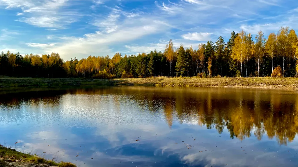 Коттедж Новый дом с баней и уличной джакузи — Ефимово