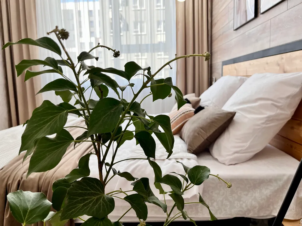 Квартира Квартира В тени Инжира — Симферополь