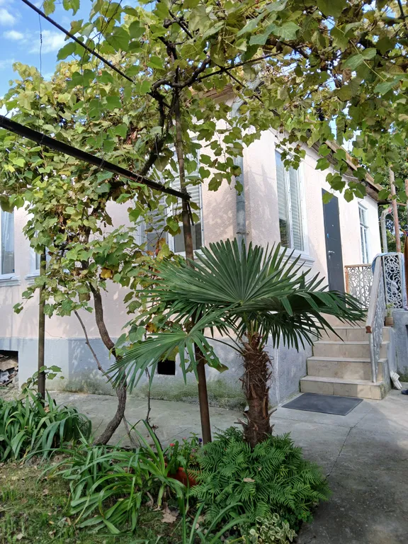 Коттедж Дoмик с зеленым садом — аренда посуточно в Сухум