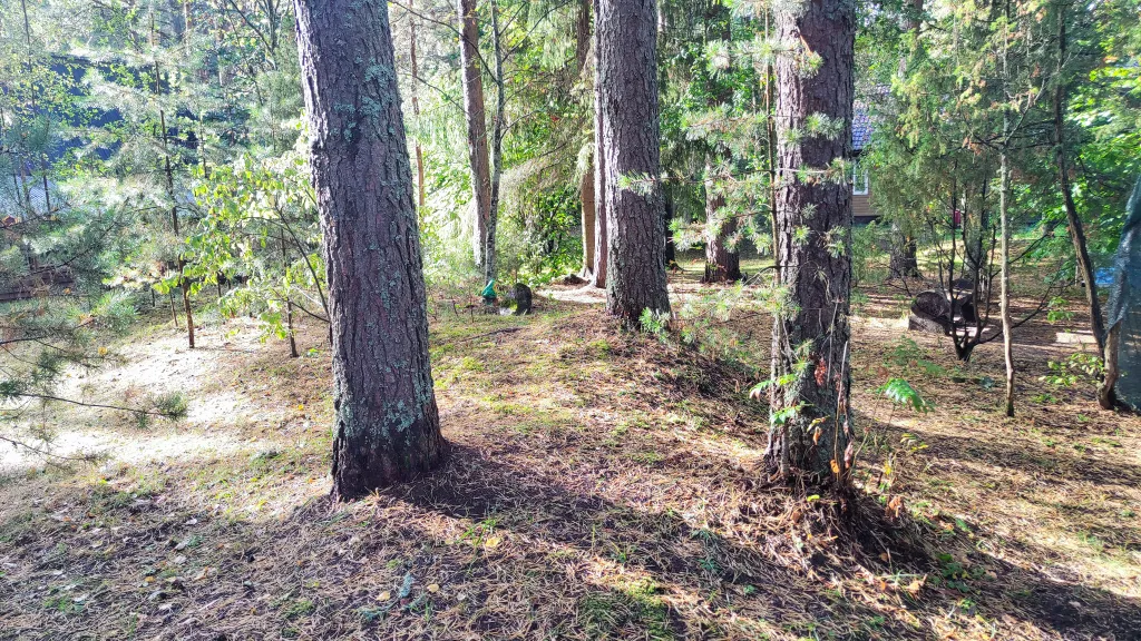 Коттедж Новый дом у озера с бесплатным бильярдом, рядом с турбазой Чайка — Ланино