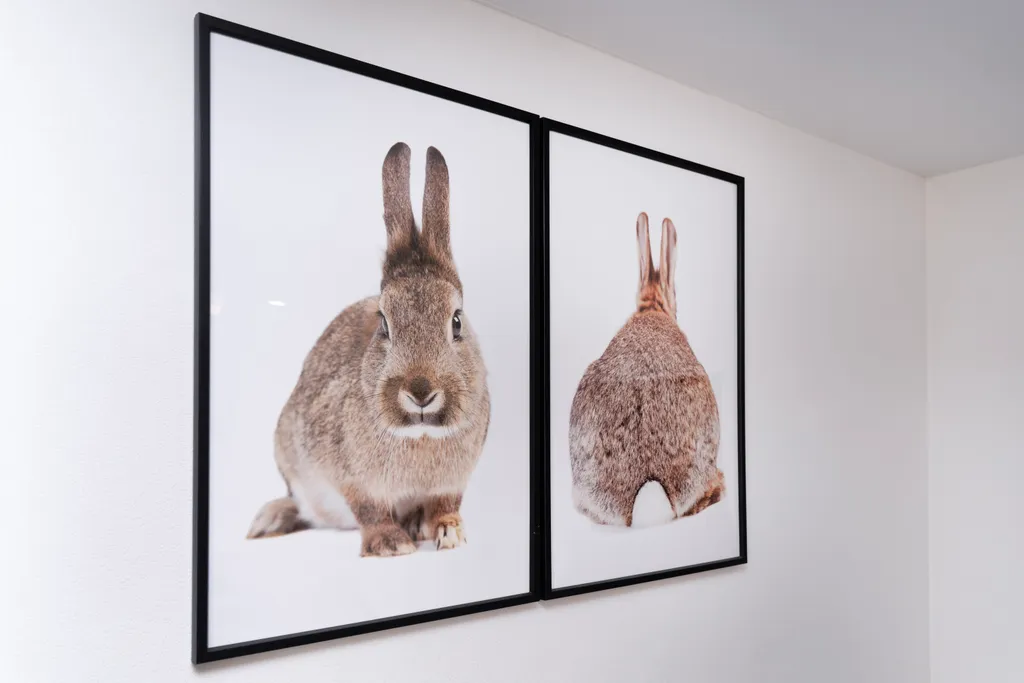 Уютная студия с видом на реку Иртыш