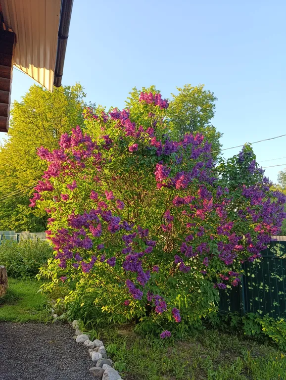 Уютный бревенчатый дом Life veranda на берегу пруда с баней на дровах