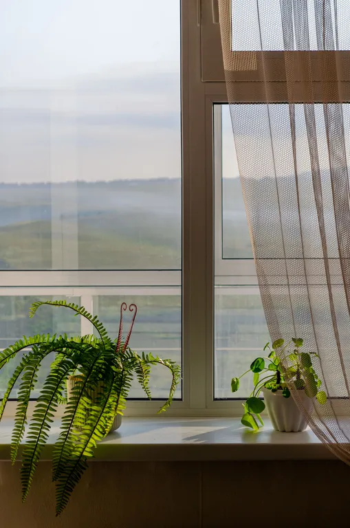 Эко студия с видом на озеро