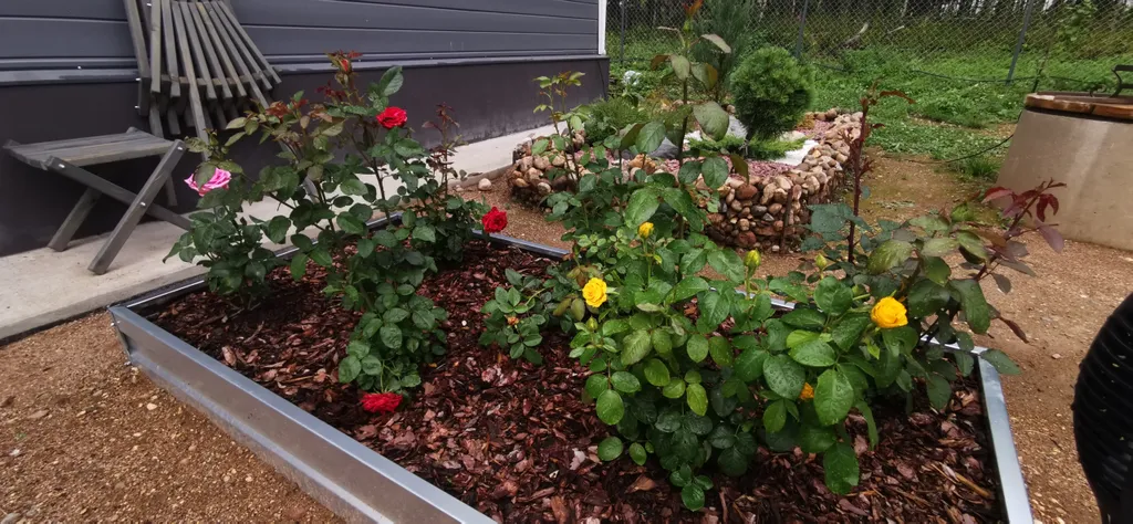 3-комнатный Дом