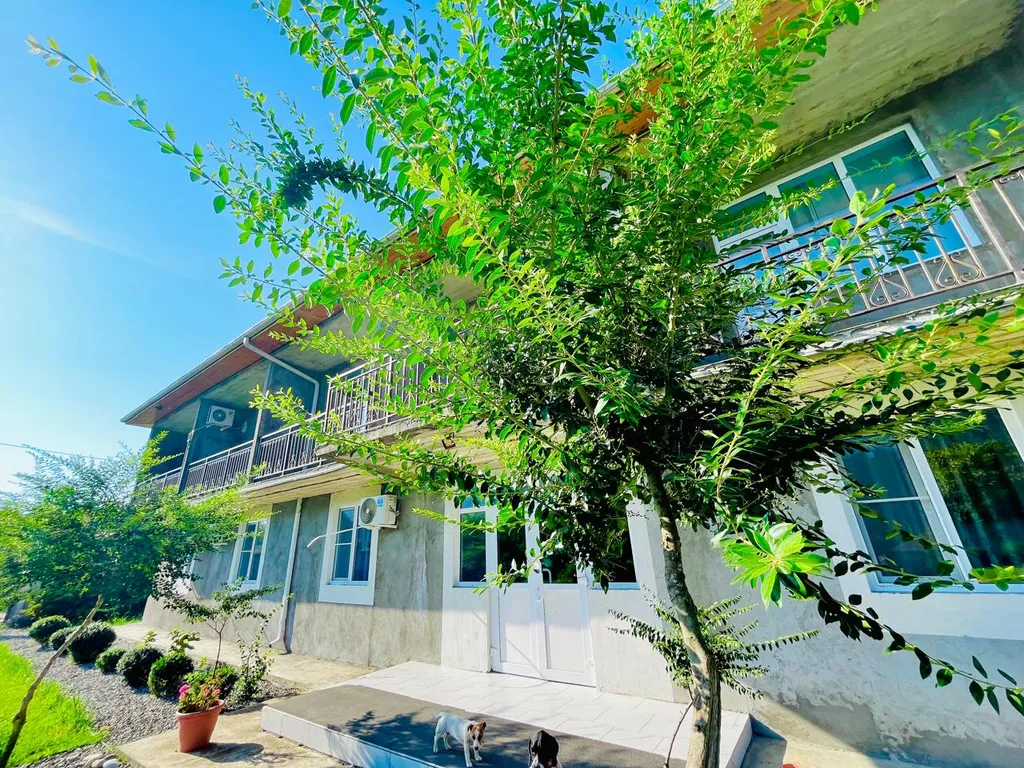 Квартира Квартира Гостевой дом "Витторио" с панорамным видом на горы — Гагра