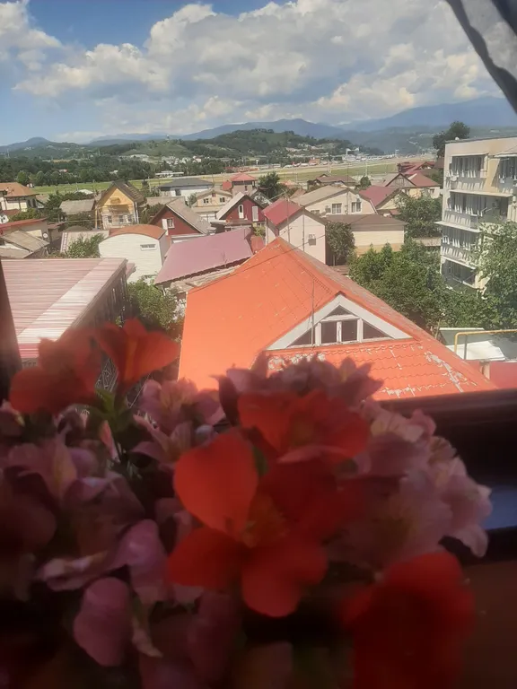 Квартира Квартира в центре — Адлер