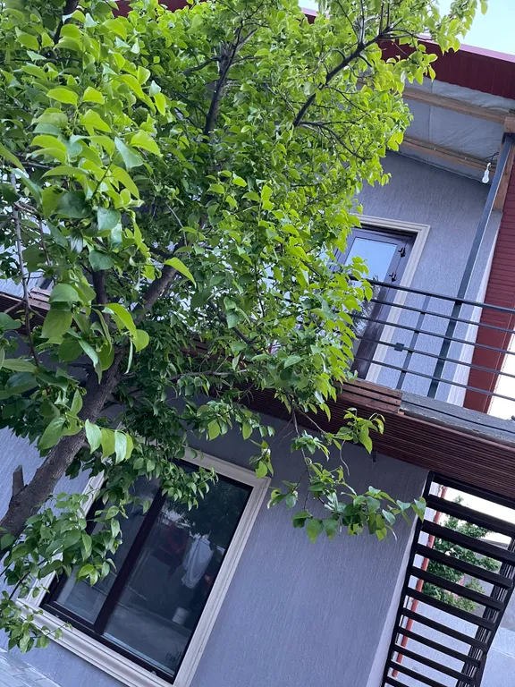 Коттедж Дом возле моря — Дербент