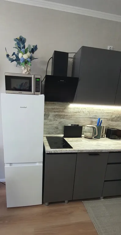 Квартира Уютная квартира- студия рядом с аэропортом — Шушары