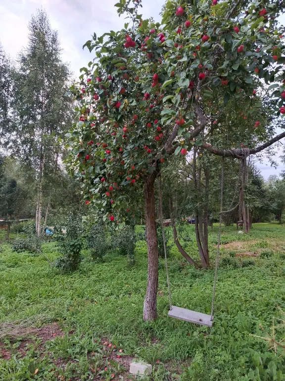 Коттедж Домик в деревне — Ярославль