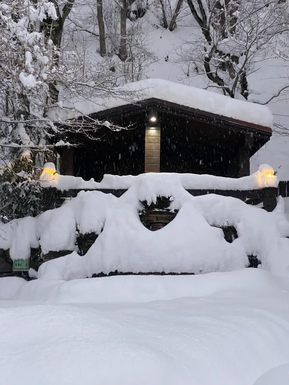 Студия в одном из самых живописных тихих мест