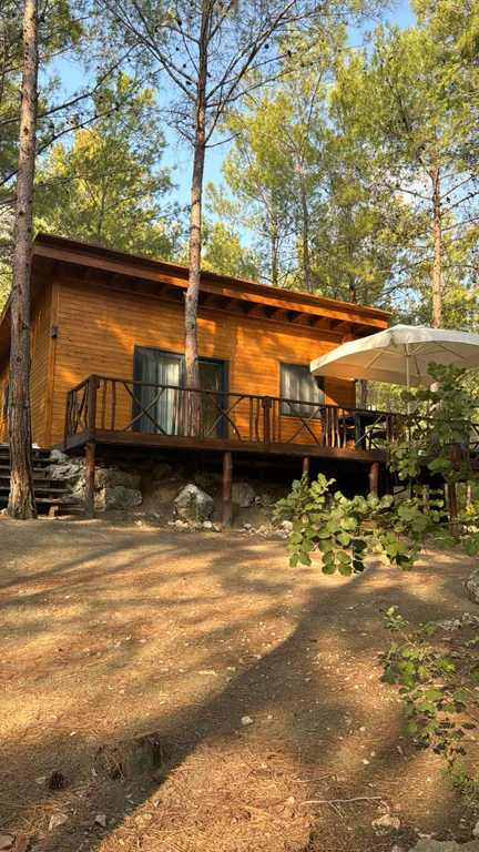 Просторное эко бунгало в сосновом лесу на побережье Турции