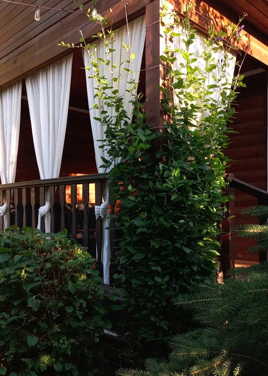 2-этажный 3-комнатный деревянный коттедж — аренда посуточно в Коктебель