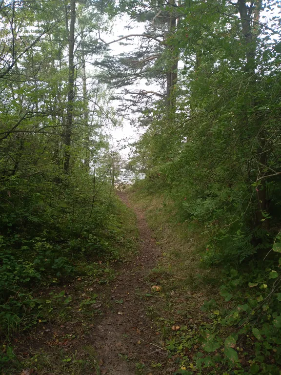 Домик в деревне на Волге