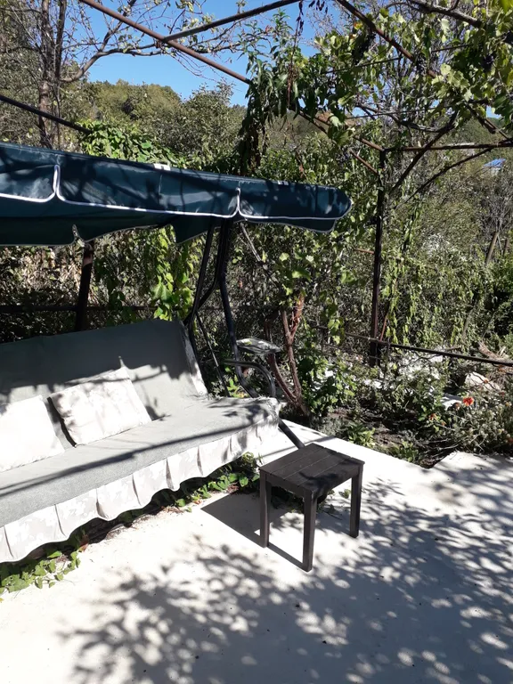 Целый дом с садом и двориком