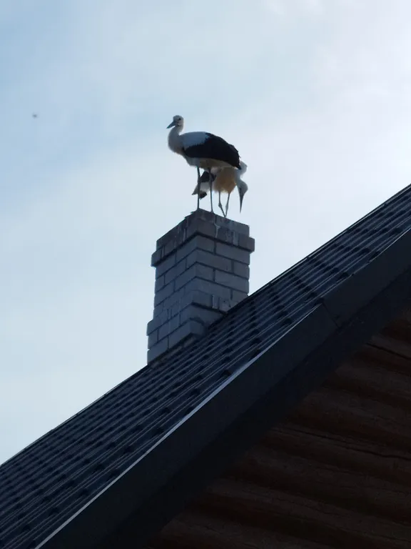 Дом для большой компании на Браславских озерах