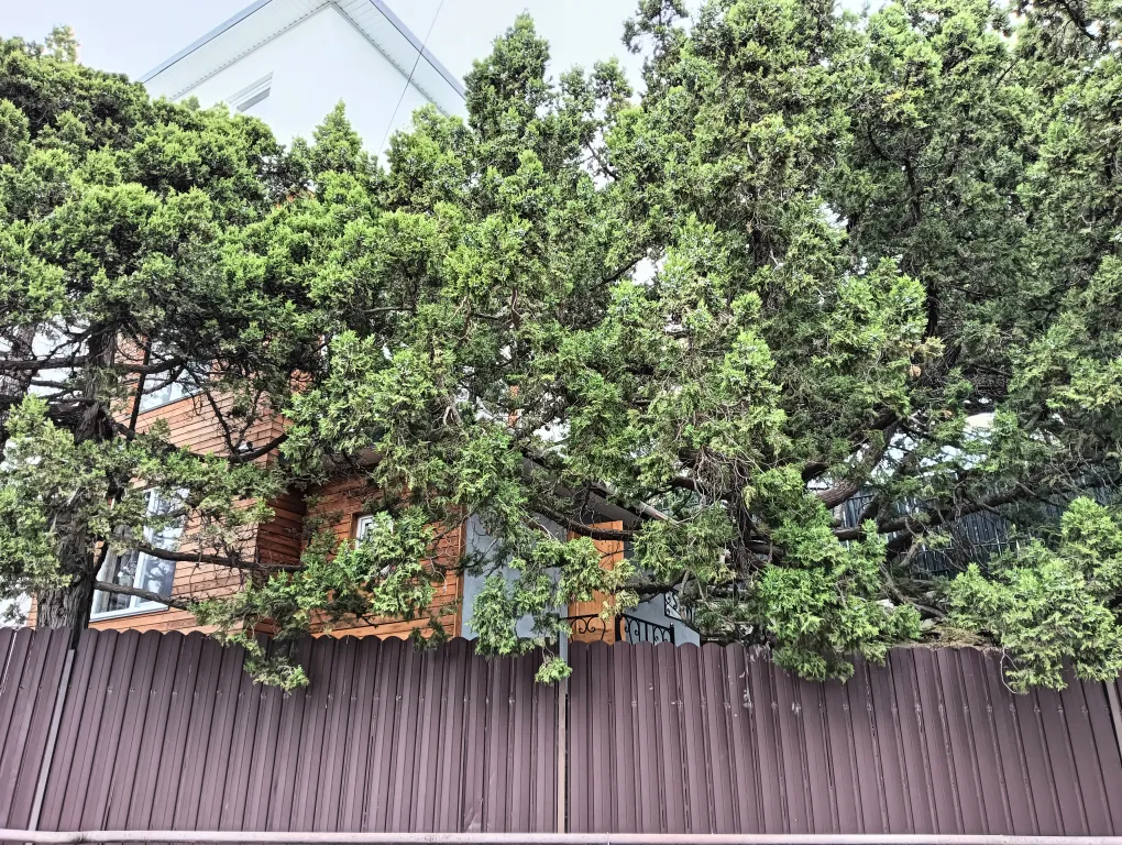 Апартамент в шаговой доступности от лучшего пляжа