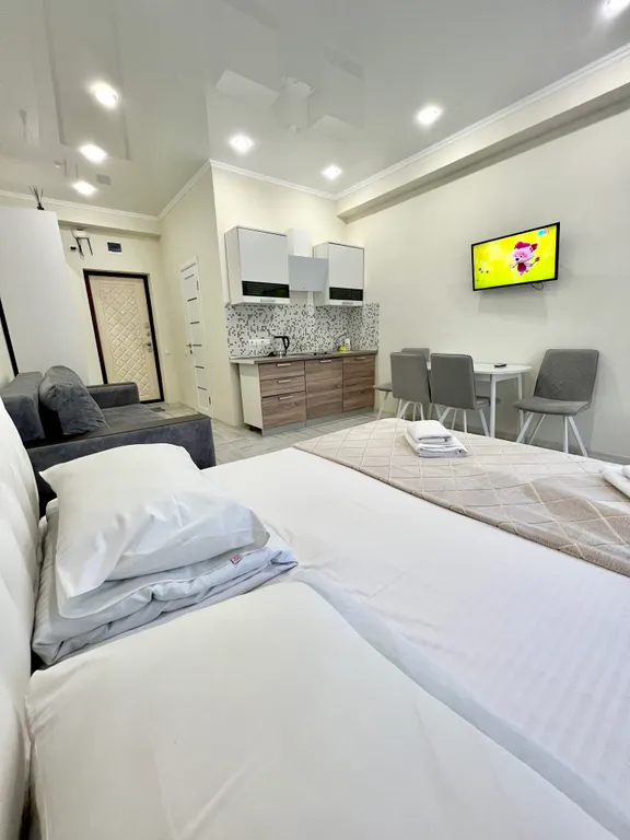 Квартира Квартира около Олимпийского парка — Сириус