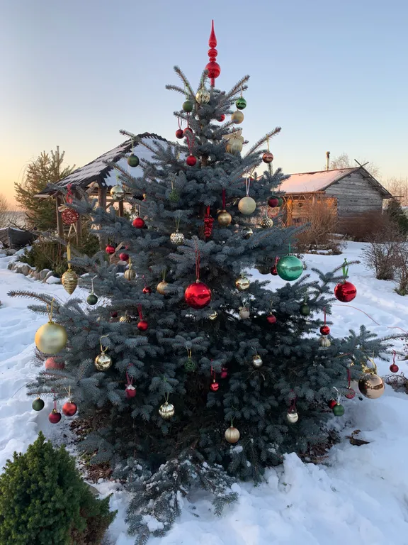 Озерный домик на Онего