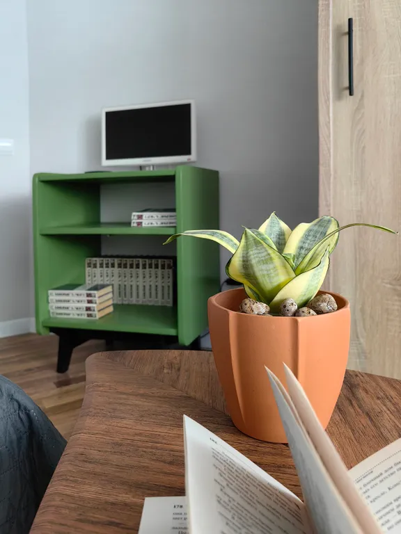 Квартира Апартаменты Green Life — Калининград