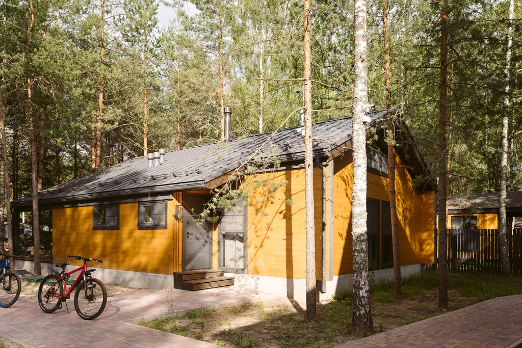 Дом меркуриал