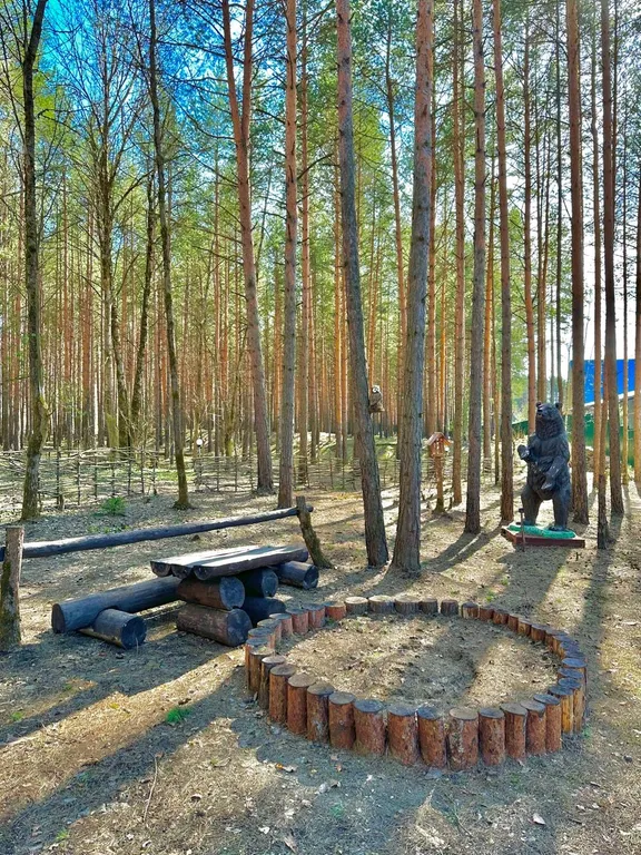 Шале в гости к мишкам с сосновом бору