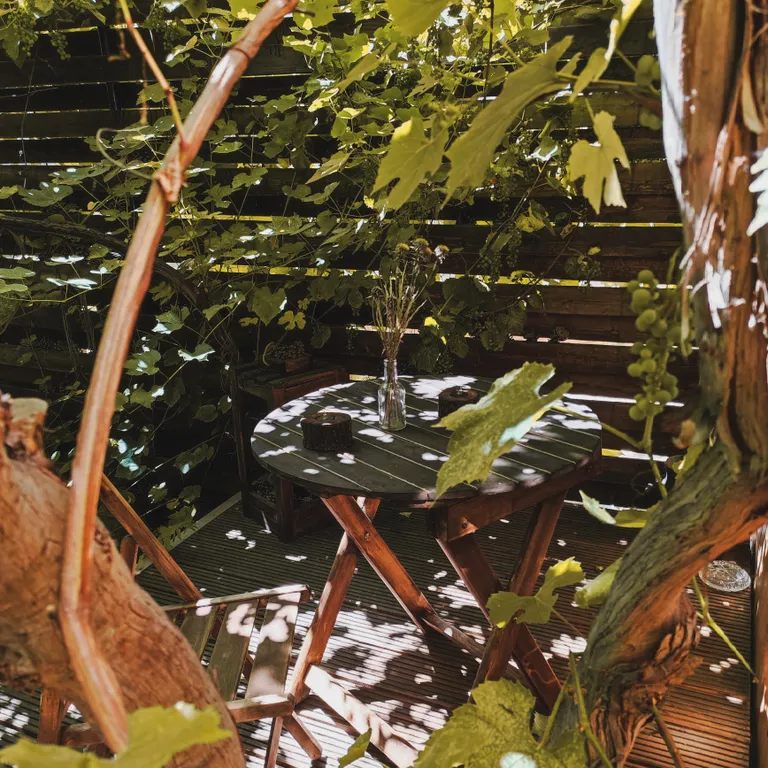 Коттедж Современный, уютный эко дом под виноградником с террасой — Кисловодск