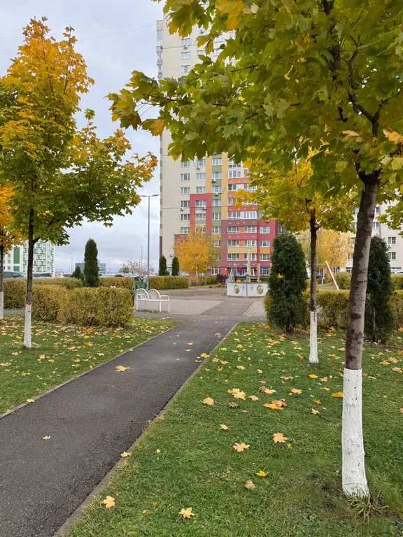 Квартира Уютная квартира с видом на парк — Нижний Новгород